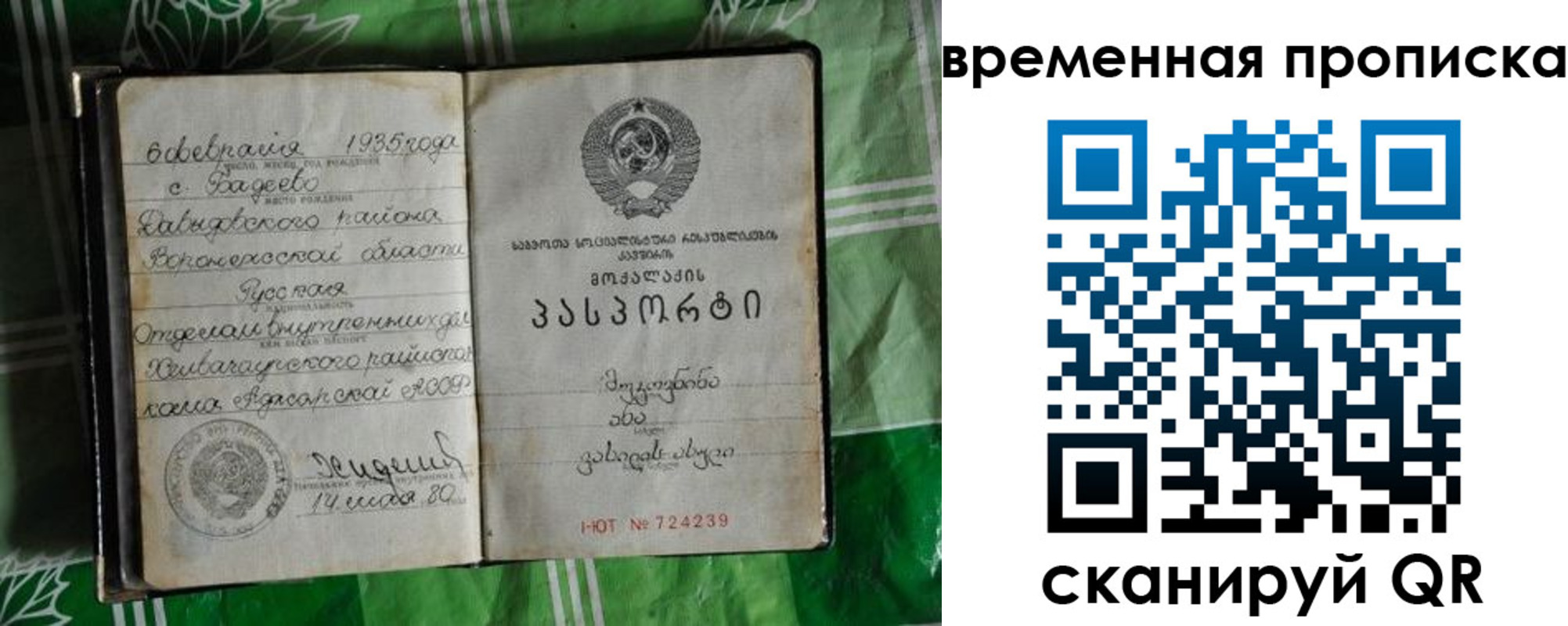 прописка в Медногорске